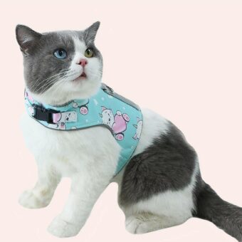 Harnais chat réglable à motif dessin animé porté par un chat à la mode