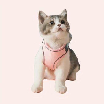 Harnais de poitrine réfléchissant anti-rupture pour chat rose porté par un chat, très bonne qualité