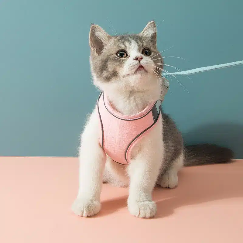 Harnais de poitrine réfléchissant anti-rupture pour chat rose porté par un chat, très bonne qualité