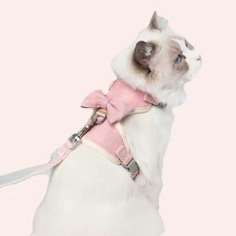 Harnais et laisse avec noeud pour chat porté par un chat à la mode dans une maison