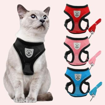 Harnais et laisse en maille pour chat, plusieurs couleurs disponible à la mode