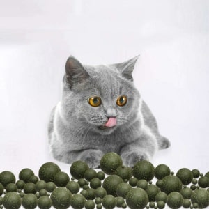 Jouet boule d'herbe comestible pour chat très amusant
