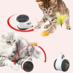 Jouet d'équilibre pour chat jouet par un chat