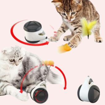 Jouet d'équilibre pour chat jouet par un chat