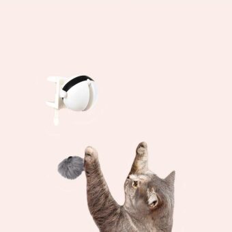 Jouet de rotation avec plume pour chat accroché sur une table joué par un chat dans une maison