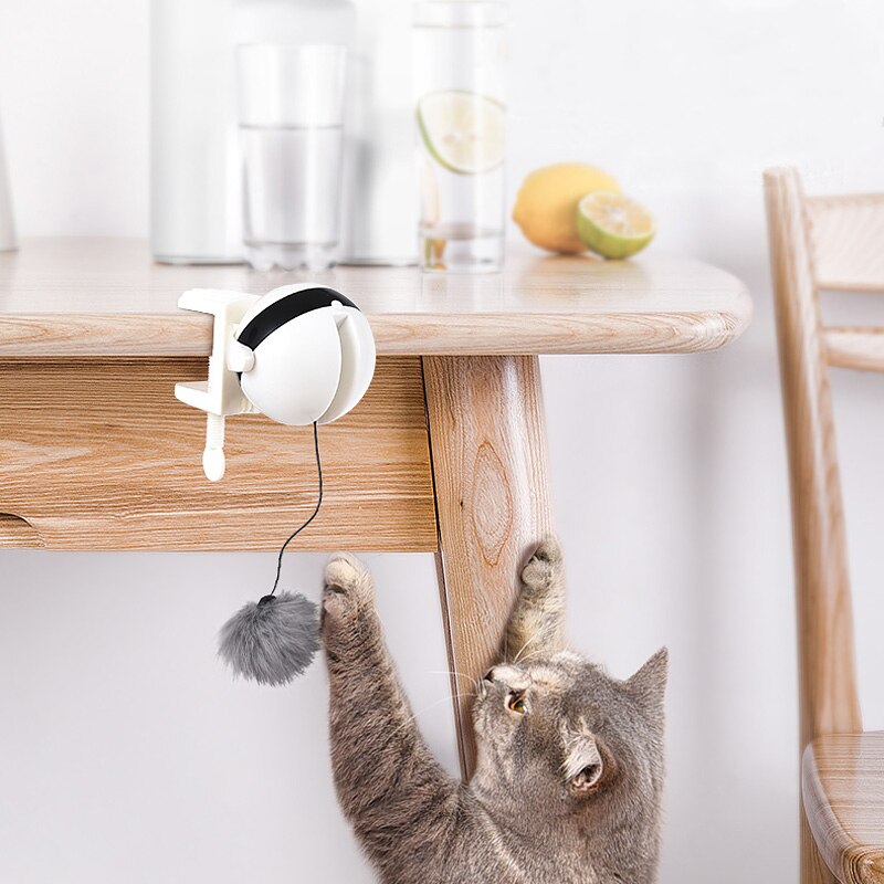 Jouet de rotation avec plume pour chat accroché sur une table joué par un chat dans une maison