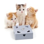 Jouet interactif boîte magique pour chat, très pratique avec 3 chats