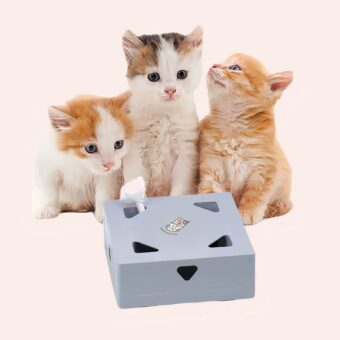 Jouet interactif boîte magique pour chat, très pratique avec 3 chats