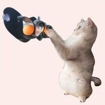 Jouet piste de succion avec balles pour chat accroché sur une vitre dans une maison