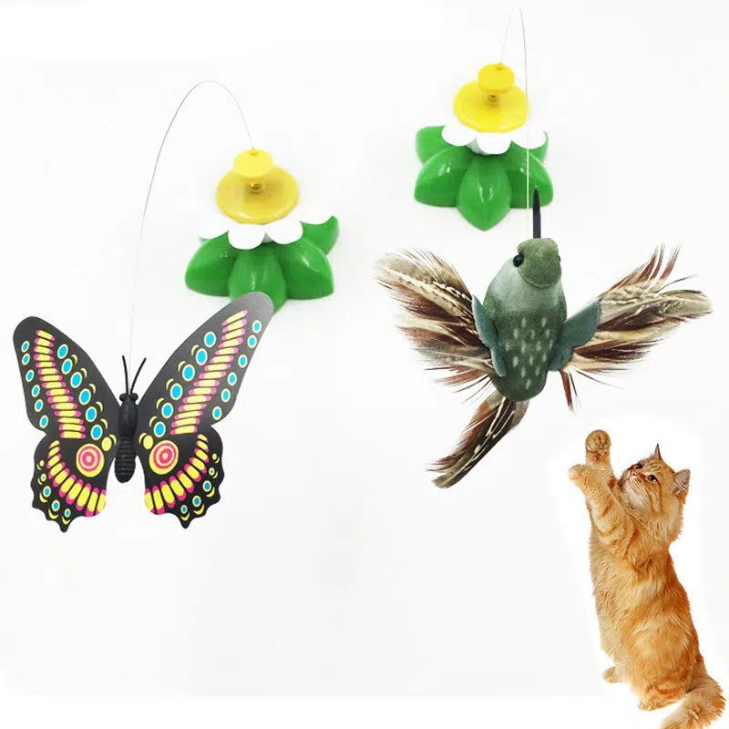 Jouet rotatif en forme d'oiseau et de papillon pour chat à la mode
