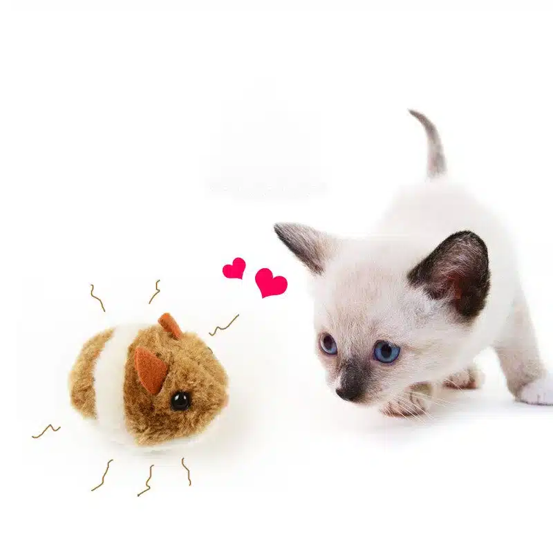 Jouet souris en peluche pour chat avec un chat qui joue avec