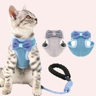 Laisse et harnais à noeud papillon pour chat porté par un chat à plusieurs couleurs