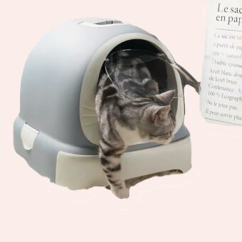 Litière grand bac à capuche pour chat, bonne qualité sur un tapis dans une maison