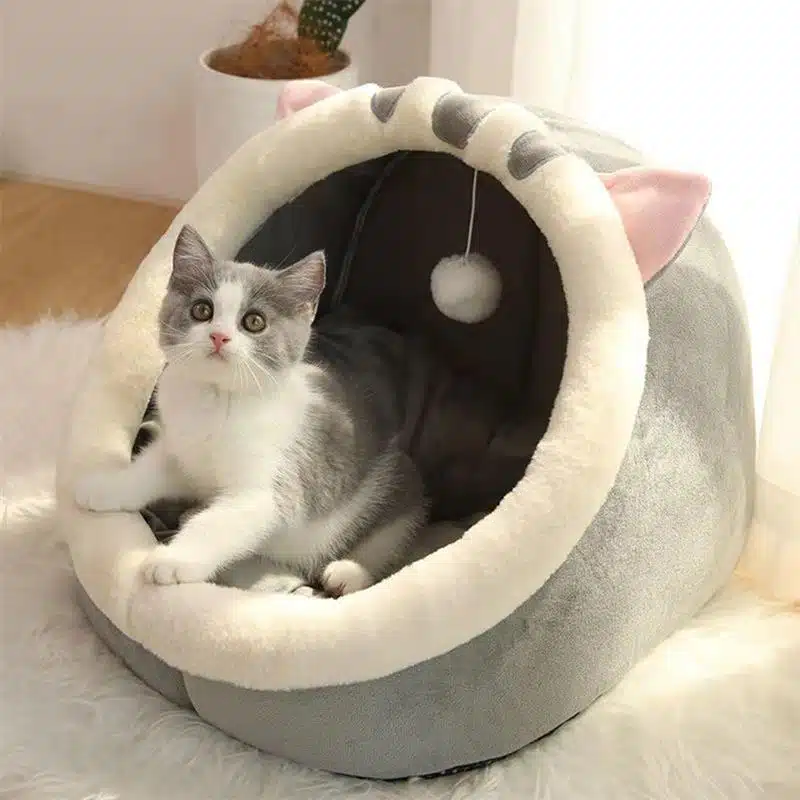 Maison chat chaude en forme animalà la mode avec un chat à l'intérieur dans une maison