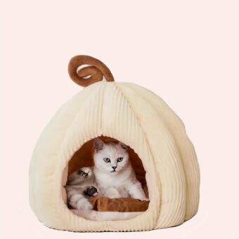 Maison fermée en forme de citrouille pour chat très confortable avec un chat à l'intérieur dans une maison