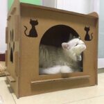 Maison pour chat en carton en forme de nid en bois très tendance à la mode