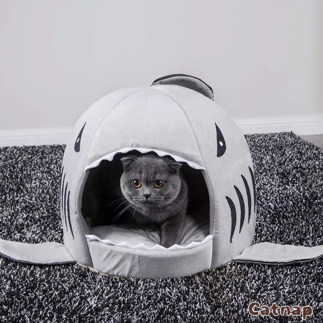Maison pour chat en forme de requin très confortable sur un tapis dans une maison