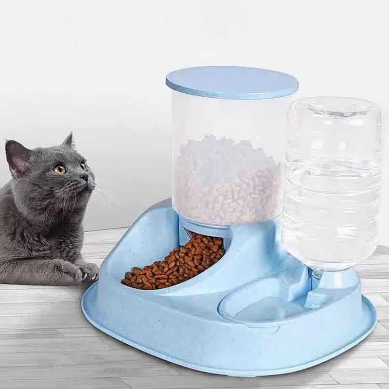 Mangeoire automatique avec distributeur d'eau pour chat à la mode dans une maison