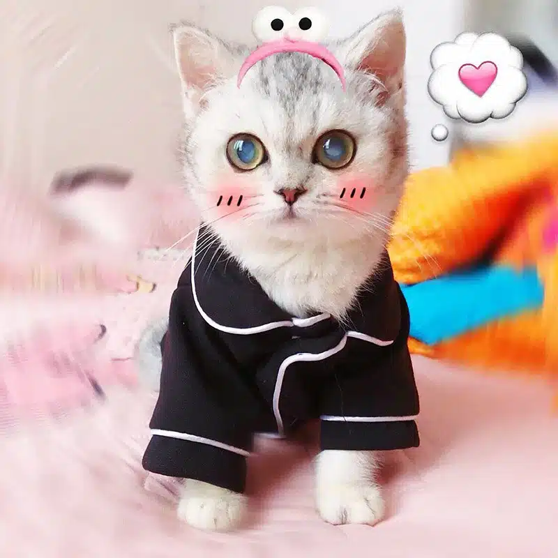 Manteau en coton pour chat noir et blanc porté par un chat sur un tapis