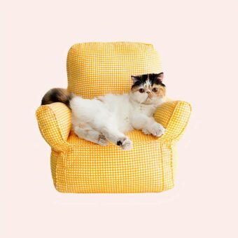 Mini fauteuil doux pour chat jaune très confortable avec un chat au-dessus dans une maison