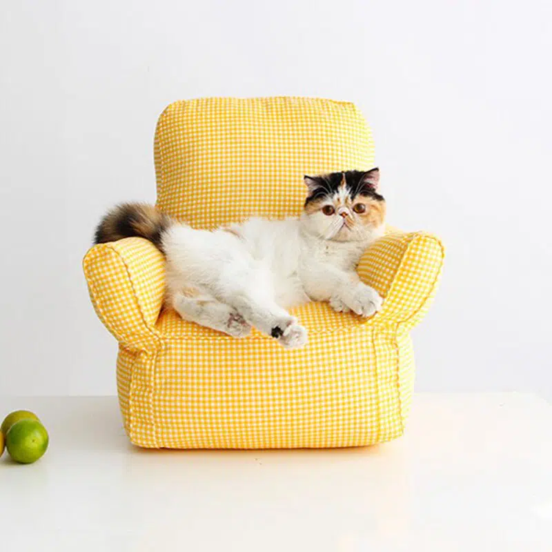 Mini fauteuil doux pour chat jaune très confortable avec un chat au-dessus dans une maison