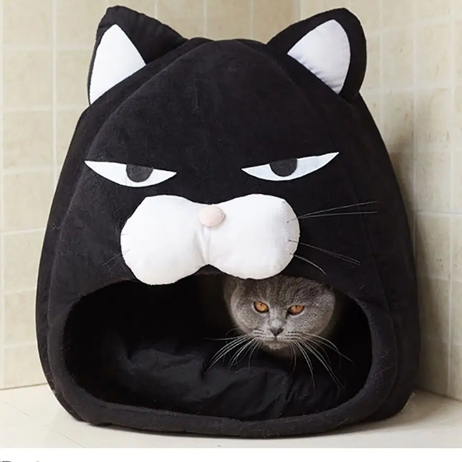 Niche chat en forme chat noir avec un nez blanc, avec un chat à l'intérieur