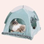 Niche chat en forme de tente avec double-fenêtre vert avec un chat à l'intérieur