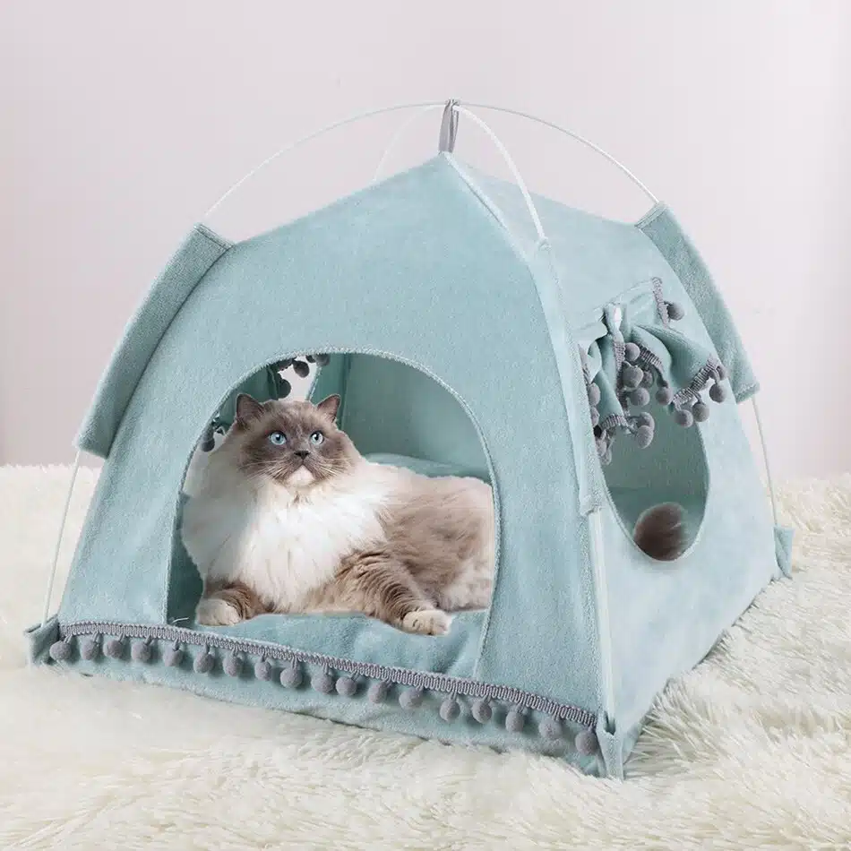 Niche chat en forme de tente avec double-fenêtre vert avec un chat à l'intérieur