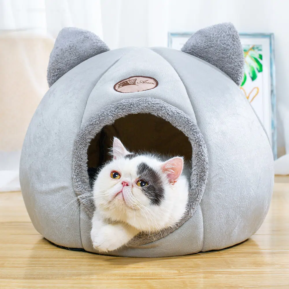 Niche chat gris en forme de citrouille avec oreille avec un chat à l'intérieur