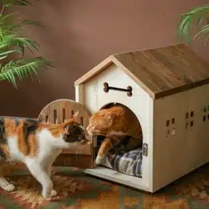 Niche en forme de maison classique pour chat en bois sur un tapis dans une maison