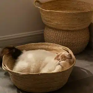Panier chat en rotin pour l'été marron avec un chat à l'intérieur dans une maison