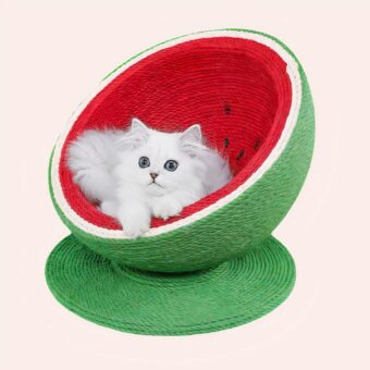 Panier en forme de pastèque pour chat très confortable dans une maison
