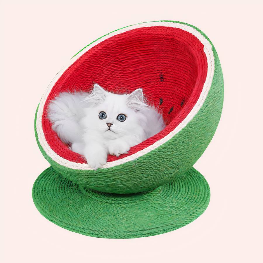 8901-bs0khy.jpg Panier en forme de pastèque pour chat très confortable dans une maison