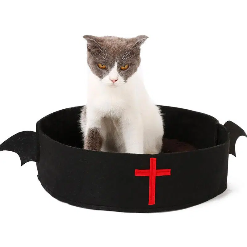 Panier Halloween forme cercueil pour chat noir, confortable avec un chat à l'intérieur