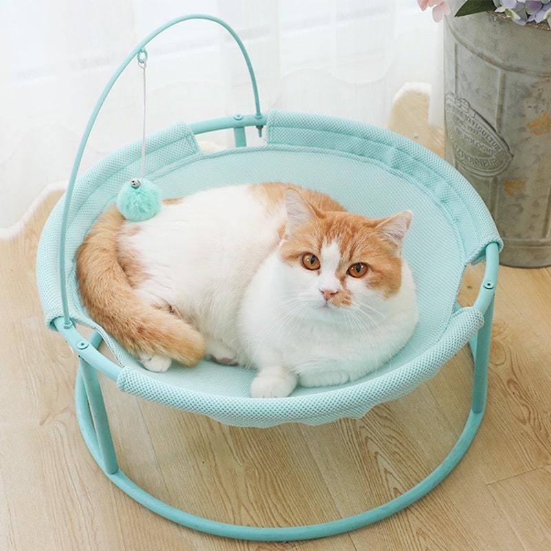 Panier transat lavable pour chat bleu avec un chat à l'intérieur