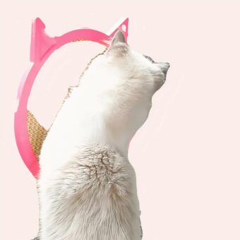 Planche à gratter à suspendre pour chat suspendu sur une vitre dans une maison