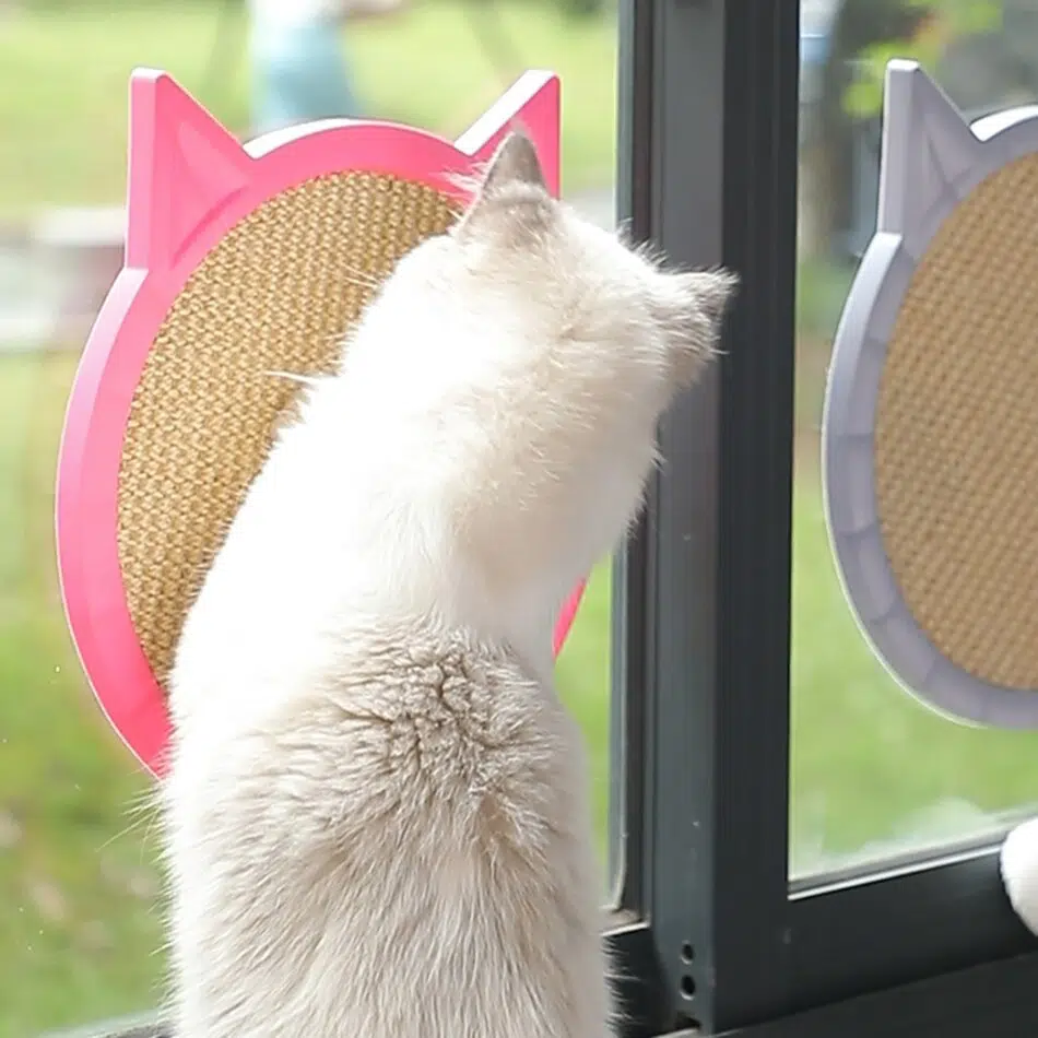 Planche à gratter à suspendre pour chat suspendu sur une vitre dans une maison