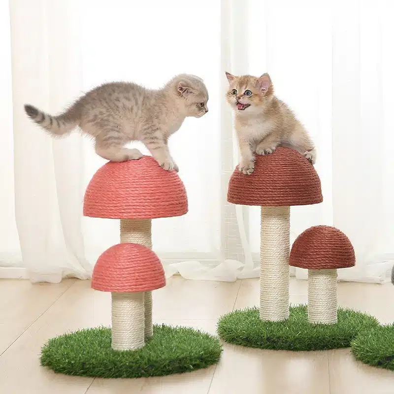 Planche à gratter en forme de champignon pour chat très haute qualité, dans une maison