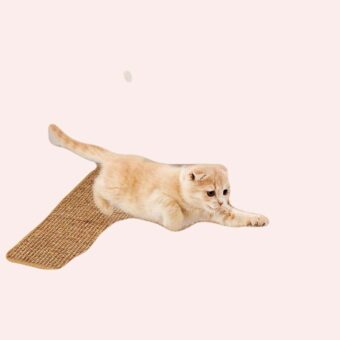 Grand tapis grattoire pour chat.