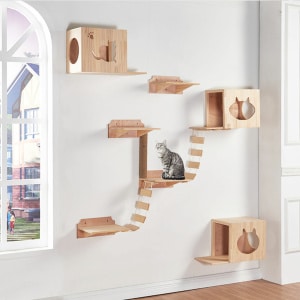 Pont en bois avec corde pour chat, très bonne qualité accrochée sur un mur dans une maison