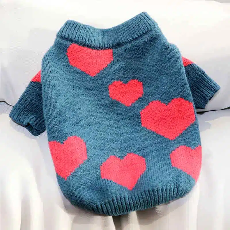 Pull tricoté bleu à motif coeur pour chat très confortable