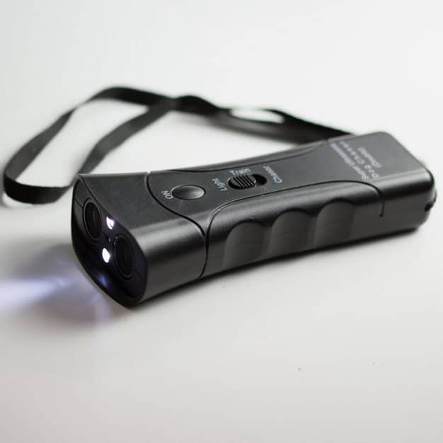 répulsif chat noir avec lumière