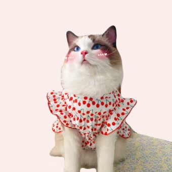 Robe d'été à motif cerise pour chat à la mode portée par un chat sur un tapis dans une maison