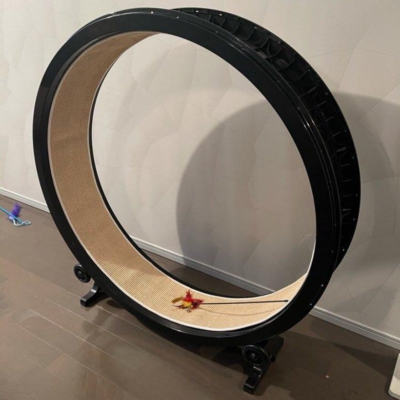 Grande roue noire pour chat