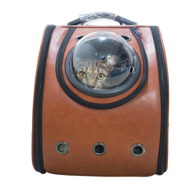 Chat dans un sac à dos marron