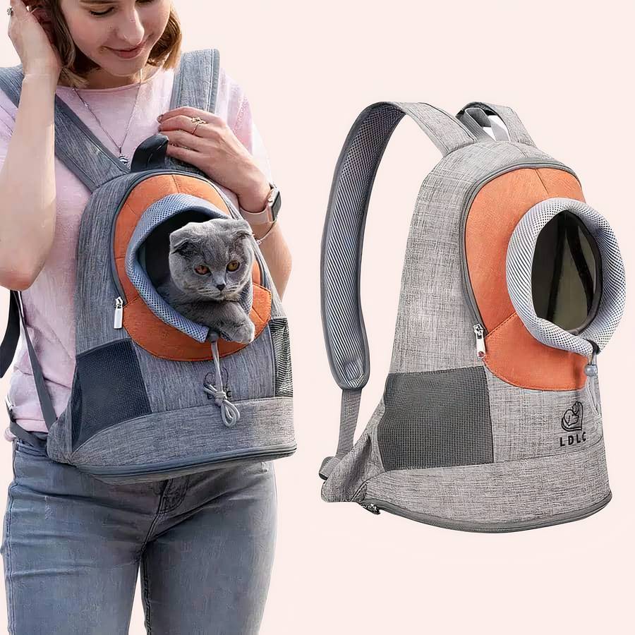 Backpack Sac Ã Dos Transparent Pour Chat Chatounette Sac A Dos