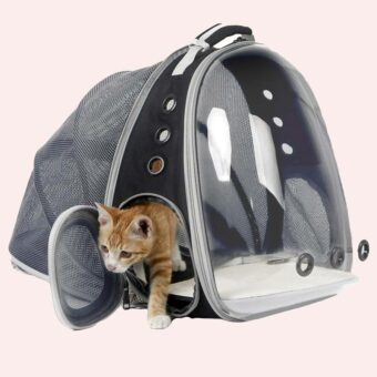 Sac à dos de transport extensible pour chat gris avec un chat à l'intérieur