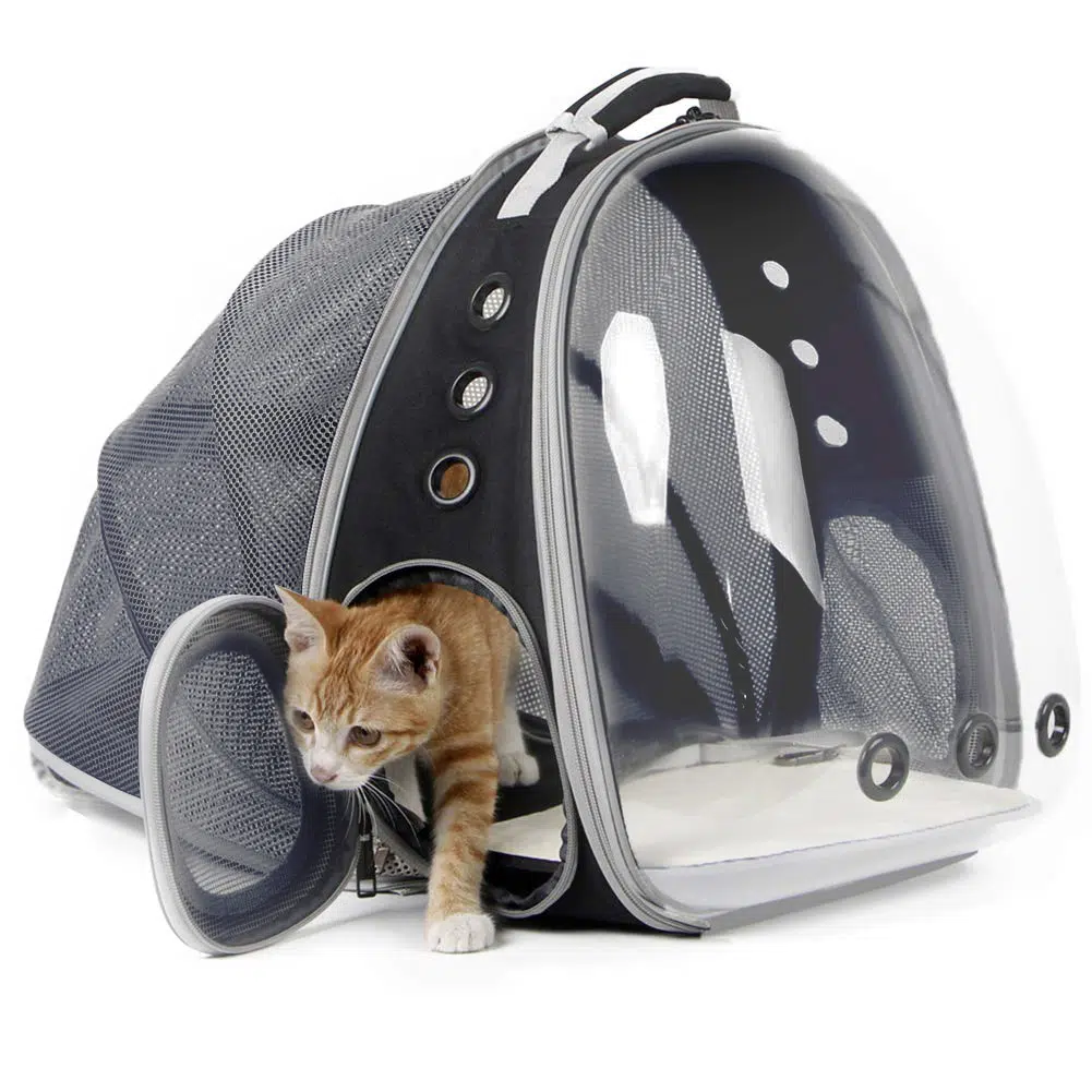Sac à dos de transport extensible pour chat gris avec un chat à l'intérieur