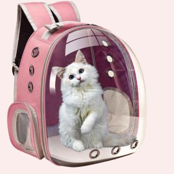 Sac à dos transparent couleur unie pour chat rose avec un chat à l'intérieur