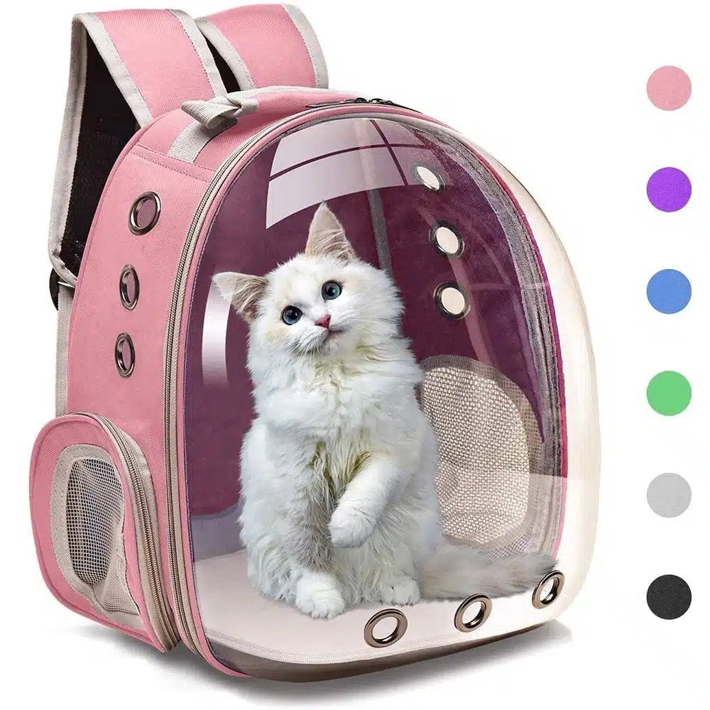 Comment bien choisir sa cage ou son sac de transport pour chat ? - CAT APART